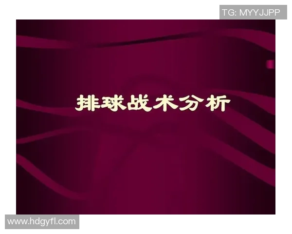 杭州排球队中路突破战术解析与实战应用探讨