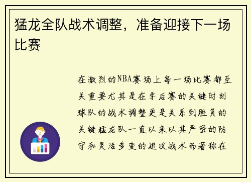 猛龙全队战术调整，准备迎接下一场比赛