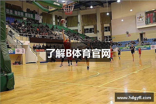 了解B体育官网